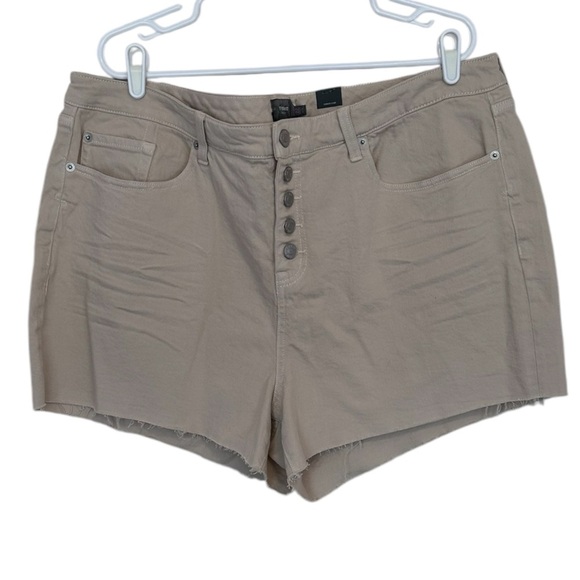 NWOT Torrid 3.5 Inch Classic Denim High-Rise Short Dust Storm Color Size 22 - Picture 1 of 8
